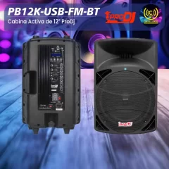 cabina activa de 12″ prodj pb12k usb fm bt