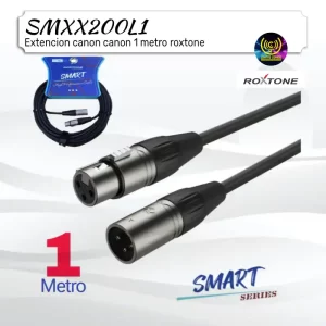 extension canon canon 1 metro roxtone