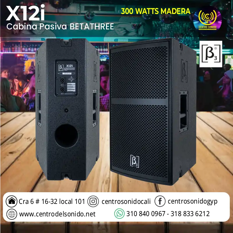 cabina pasiva x12i beta 3 de 300watt madera cabina pasiva x12i beta 3 de 300watt madera